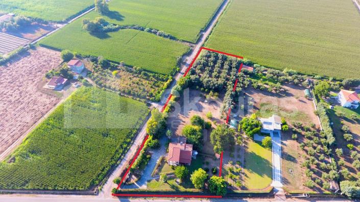 Image No.26-Maison / Villa de 3 chambres à vendre à Elis