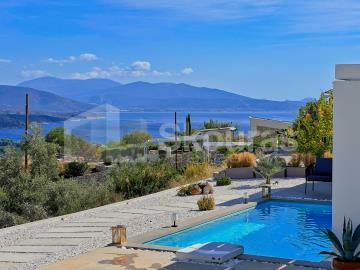 55f79928371a4c1dbfaf7ff7594d4eca