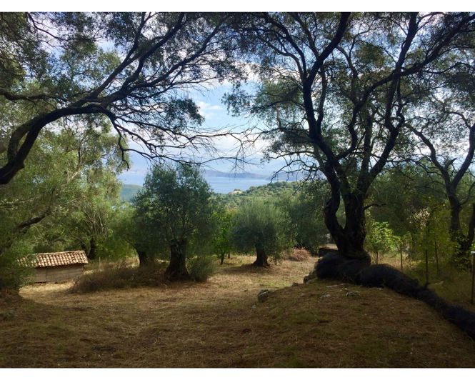 Image No.14-Maison de 3 chambres à vendre à Corfou