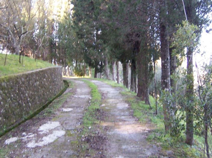 Image No.3-Maison de 4 chambres à vendre à Doukades