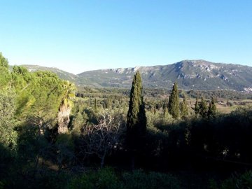 29401799-cf43-492c-9568-f3670680b8ec