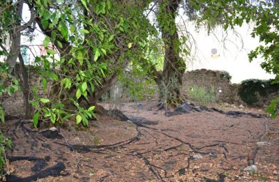 ae82cc7a-19c5-41db-b64e-def5ff8cc9a8