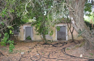 58a6b3a0-0509-4245-8061-0c78a346c32c