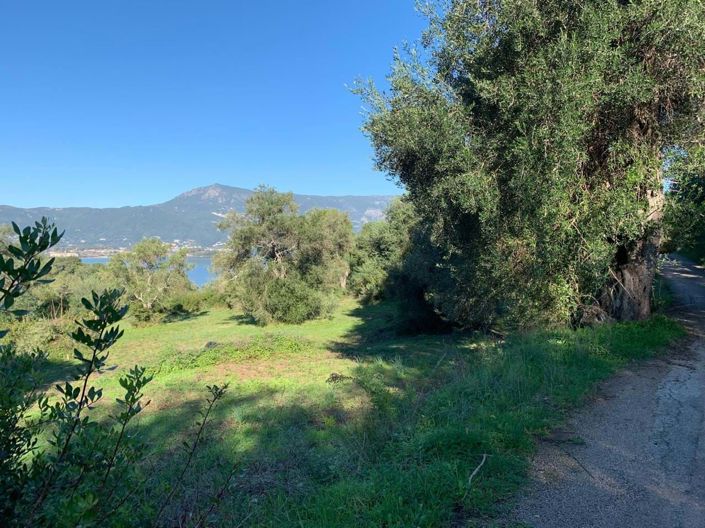 Image No.2-Terre à vendre à Corfou