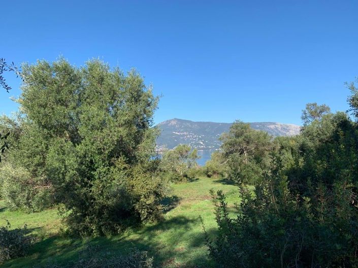 Image No.3-Terre à vendre à Corfou