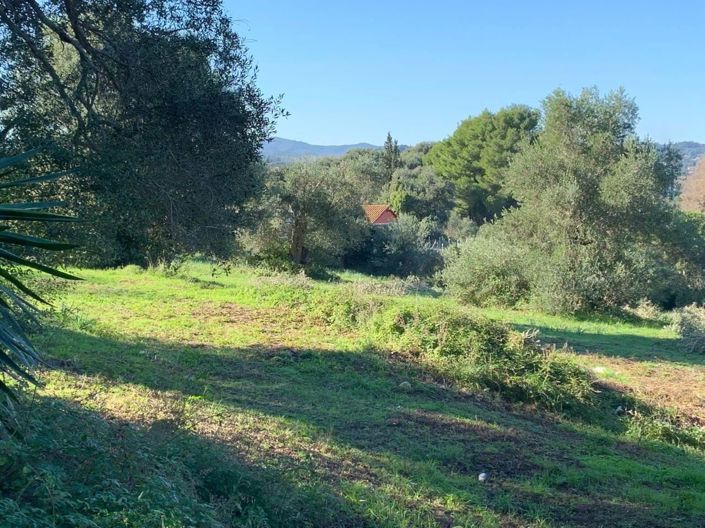 Image No.4-Terre à vendre à Corfou