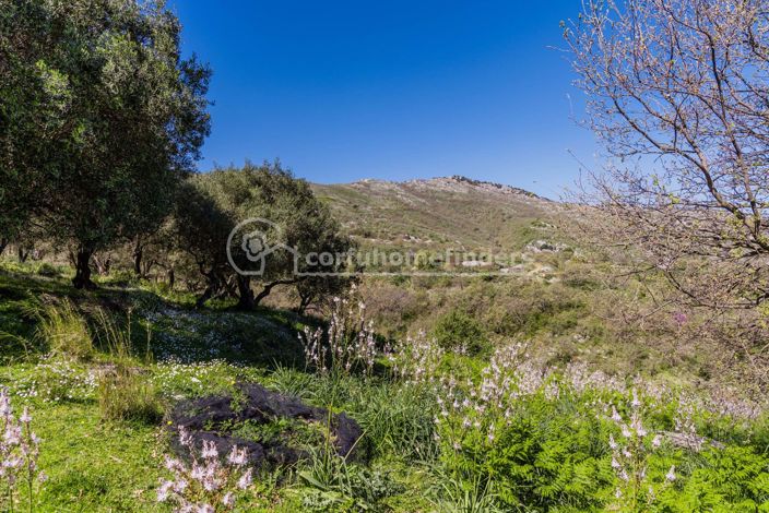 Image No.2-Terre de 5 chambres à vendre à Kassiopi