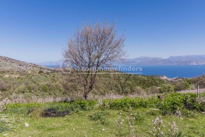 599a006e-8ae9-473f-a48d-73ad70f1fe50