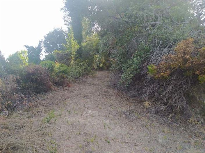 Image No.3-Terre à vendre à Arillas