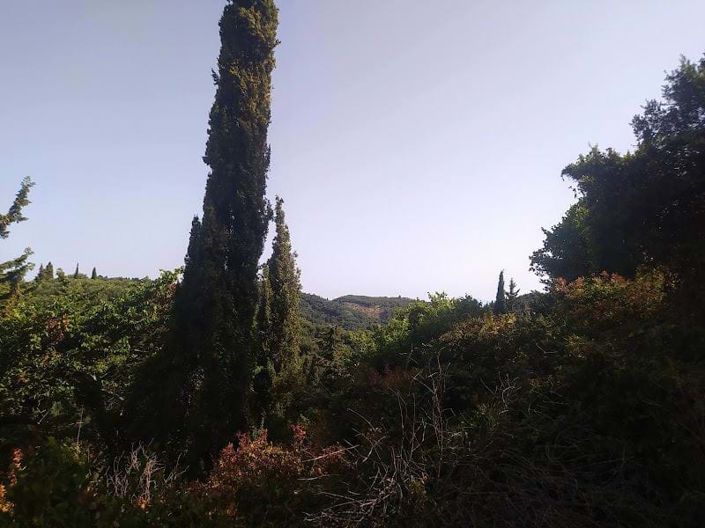 Image No.4-Terre à vendre à Arillas