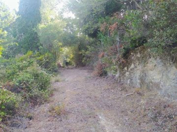 9c095e7d-b63b-4162-8941-d574f994ca52