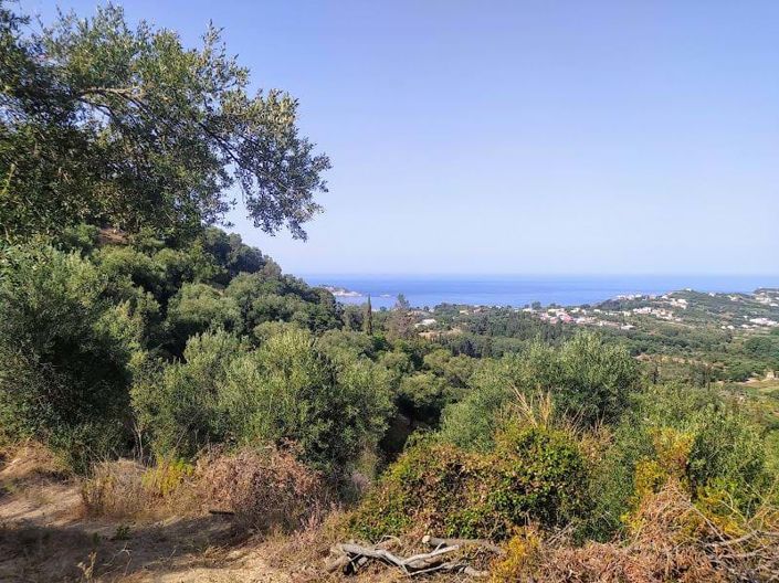 Image No.7-Terre à vendre à Arillas