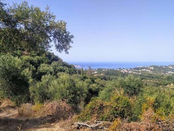 d15d3710-ffc7-4d7f-93da-de12b31b65ed