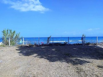 0444d1ad-97a5-46dd-bf12-cd1582a751aa