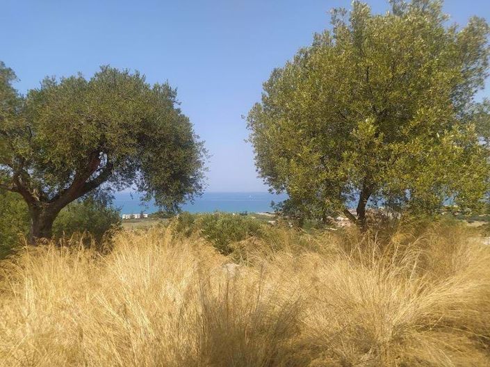 Image No.5-Terre à vendre à Acharavi