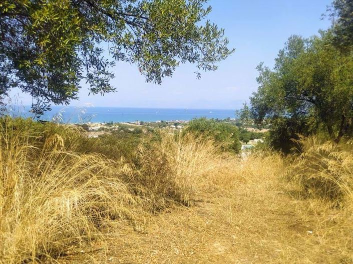 Image No.6-Terre à vendre à Acharavi