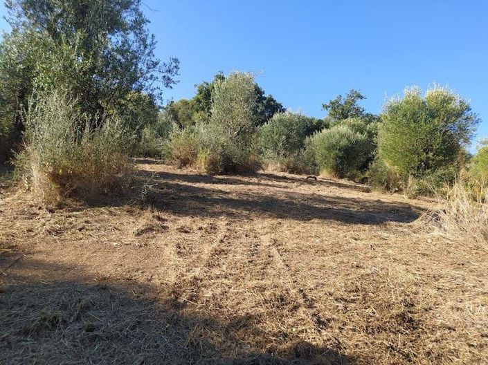 Image No.2-Terre de 2 chambres à vendre à Corfou