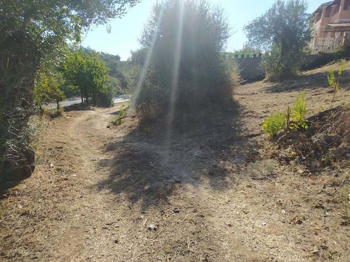 Image No.6-Terre de 2 chambres à vendre à Corfou