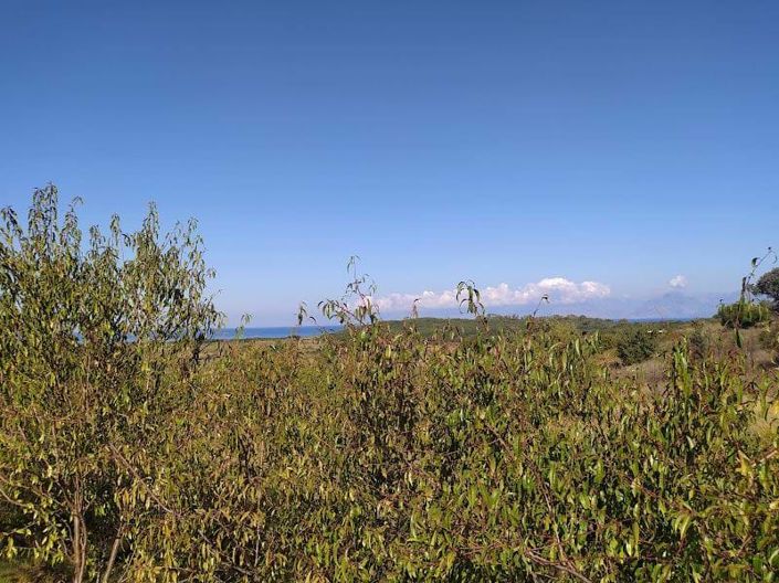 Image No.8-Terre à vendre à Corfou