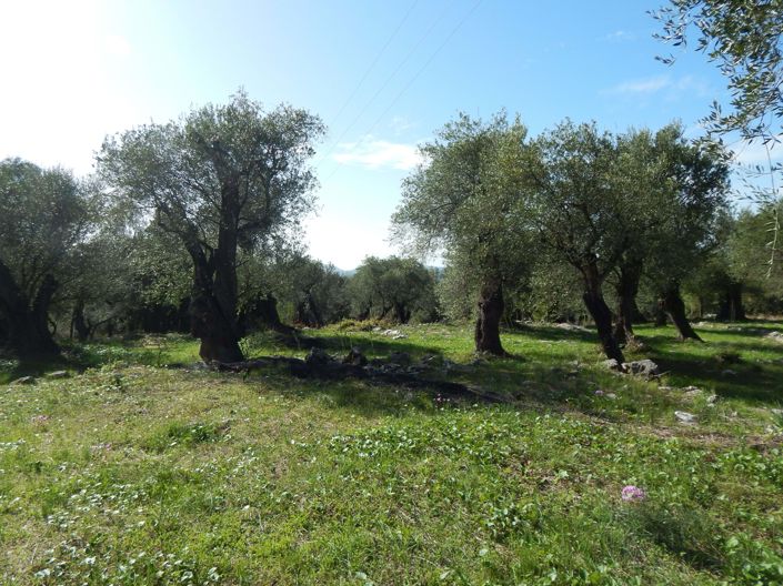 Image No.3-Land for sale