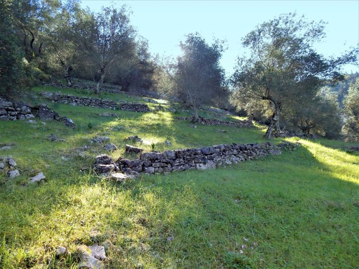 Image No.2-Terre à vendre à Corfou