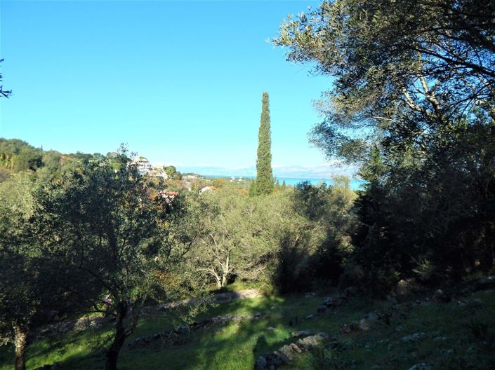 Image No.3-Terre à vendre à Corfou