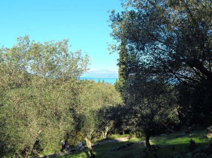 Image No.4-Terre à vendre à Corfou