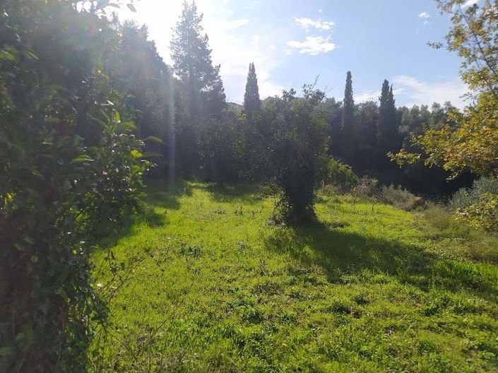 Image No.6-Terre à vendre à Corfou