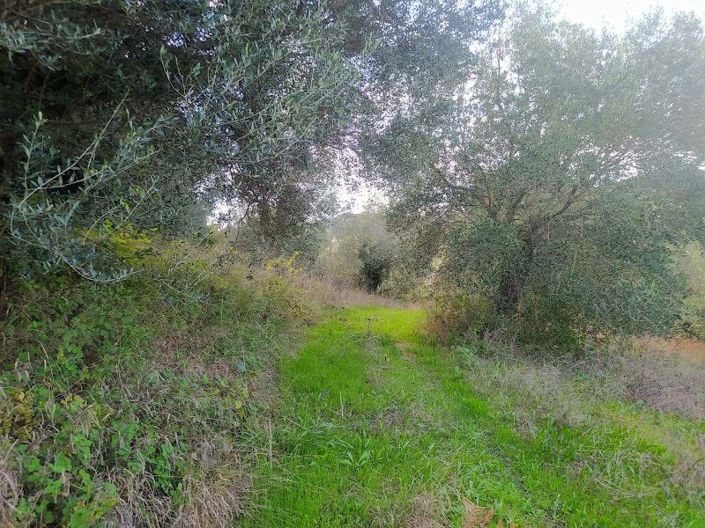 Image No.7-Terre à vendre à Corfou