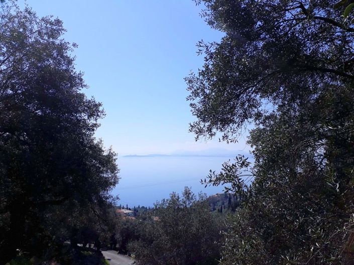 Image No.2-Terre à vendre à Corfou