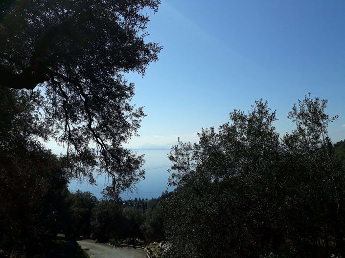 Image No.3-Terre à vendre à Corfou