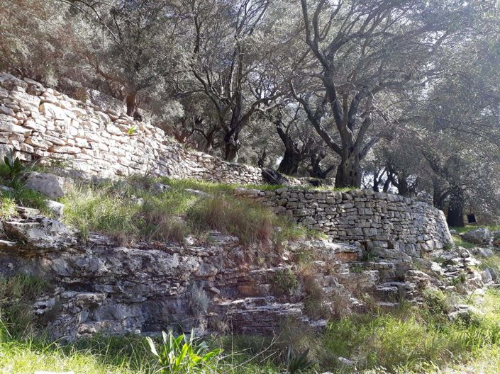 Image No.7-Terre à vendre à Corfou