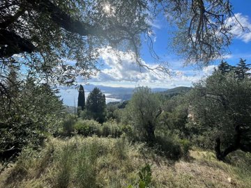 d7cf7212-52b0-420b-b94a-a2122bfd77ea