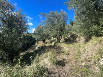 24e34511-e96b-405f-b931-5569d9bc19f8