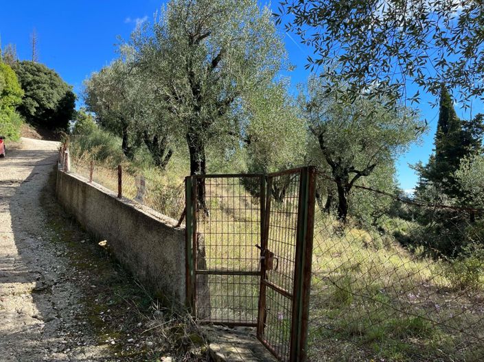 Image No.6-Terre à vendre à Spartilas