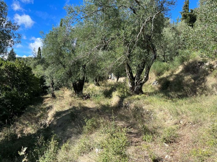 Image No.8-Terre à vendre à Spartilas