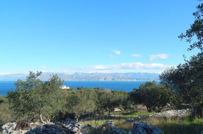 de033e52-c31a-4253-b446-662e9f1566c4