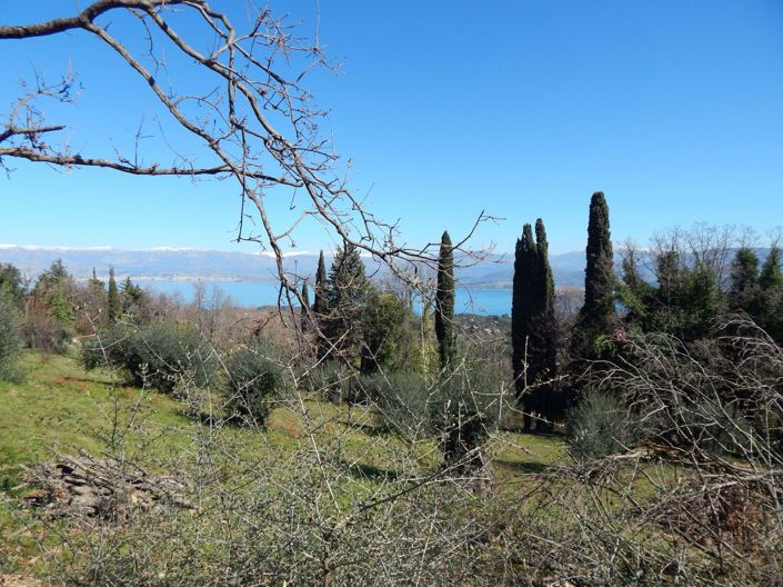 Image No.2-Terre à vendre à Corfou