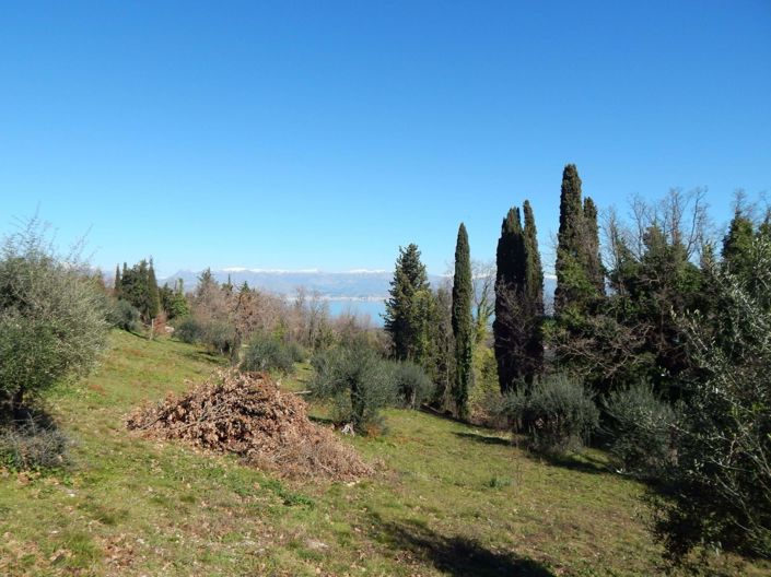 Image No.5-Terre à vendre à Corfou