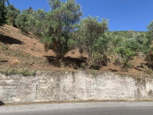 Image No.7-Terre à vendre à Moraitika