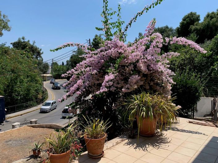 Image No.10-5 Bed House for sale