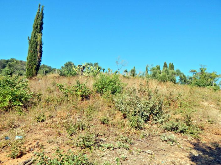 Image No.2-Terre à vendre à Corfou