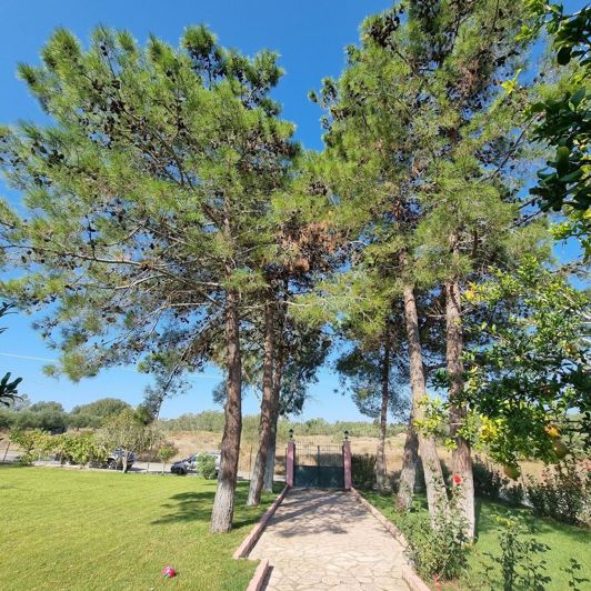 Image No.4-Maison de 3 chambres à vendre à Lefkimmi