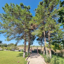 86b723c1-711c-47c3-b42e-1f697ed8a451