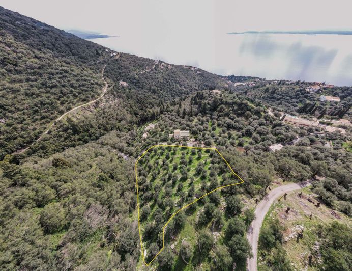 Image No.10-Terre à vendre à Corfou