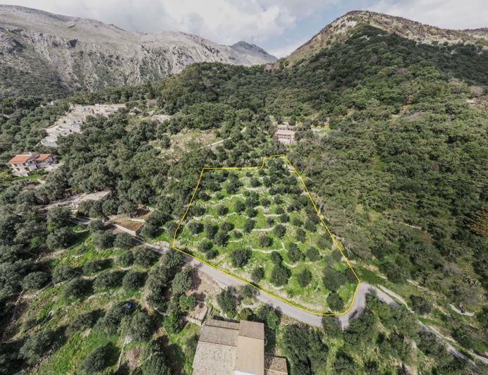 Image No.11-Terre à vendre à Corfou