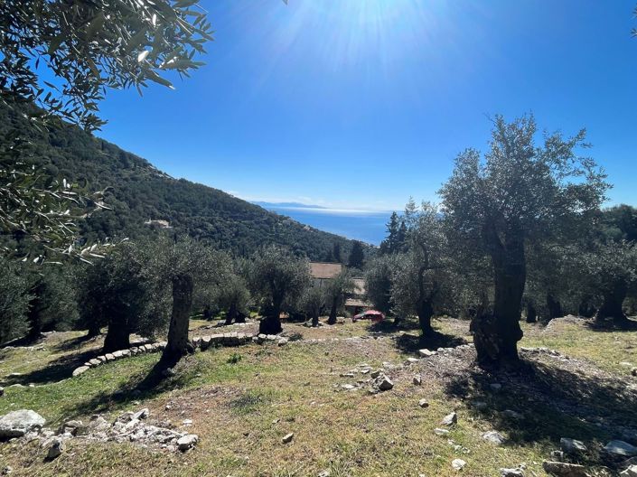 Image No.2-Terre à vendre à Corfou