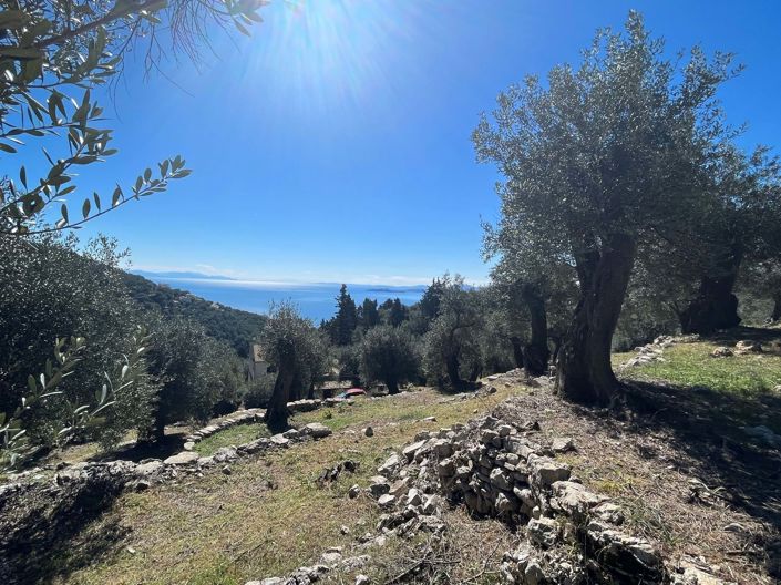 Image No.3-Terre à vendre à Corfou