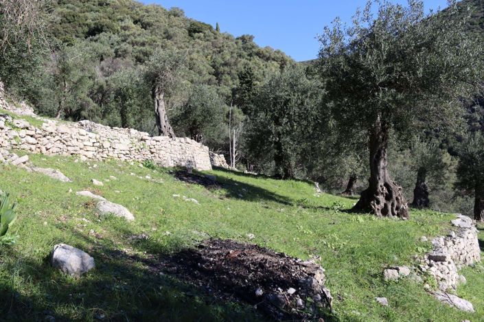 Image No.4-Terre à vendre à Corfou