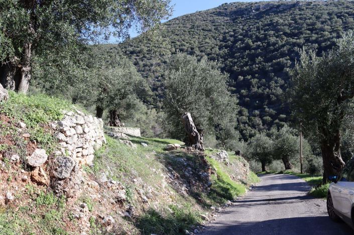 Image No.6-Terre à vendre à Corfou